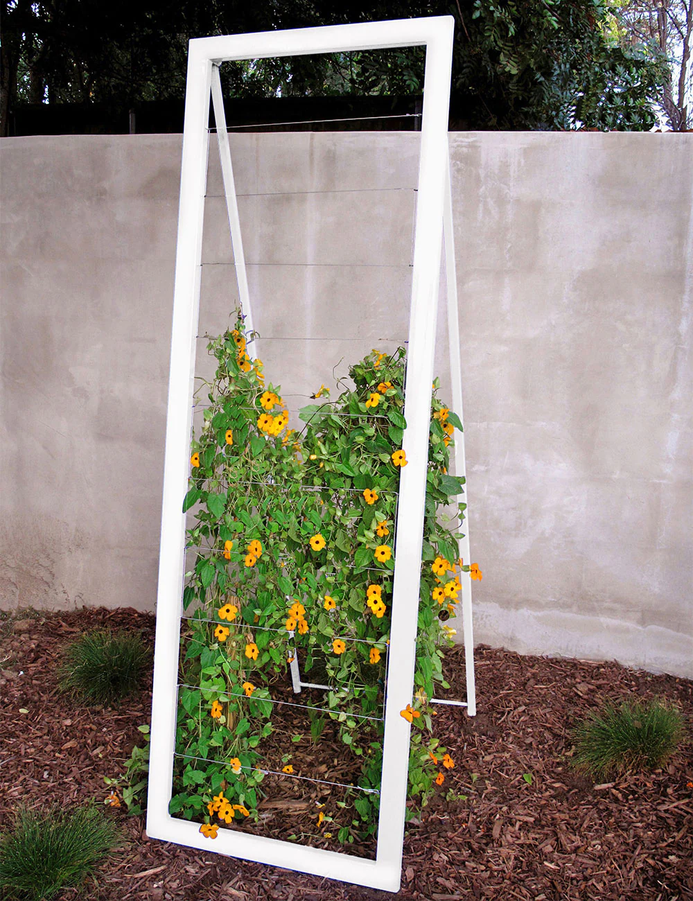 Mira Garden Trellis - Large - Image 5