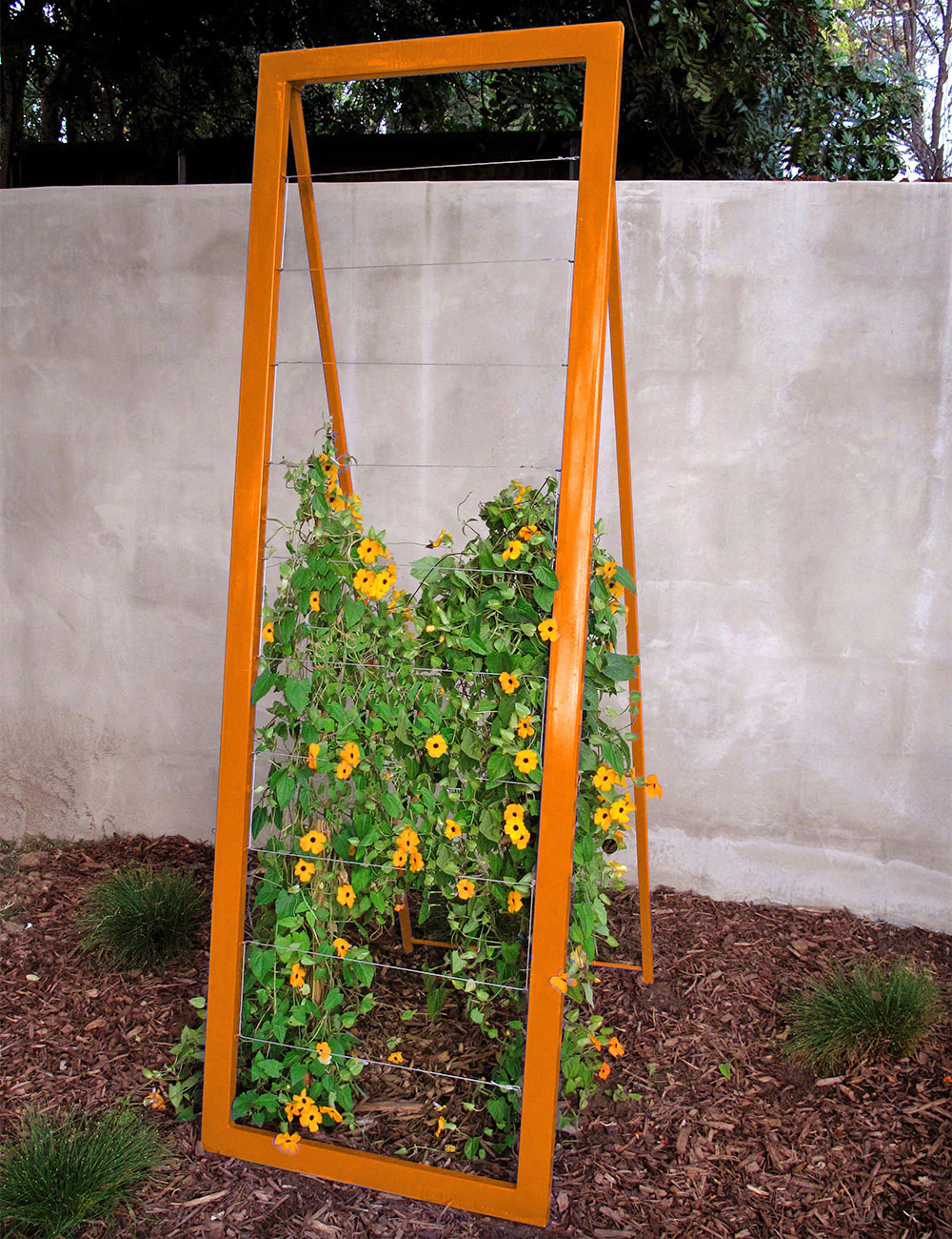 Mira Garden Trellis - Large - Image 7