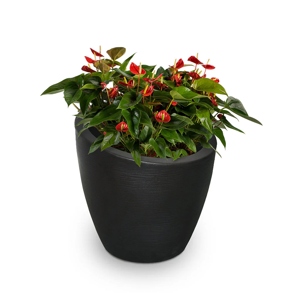 Modesto 20" Round Planter - Image 3