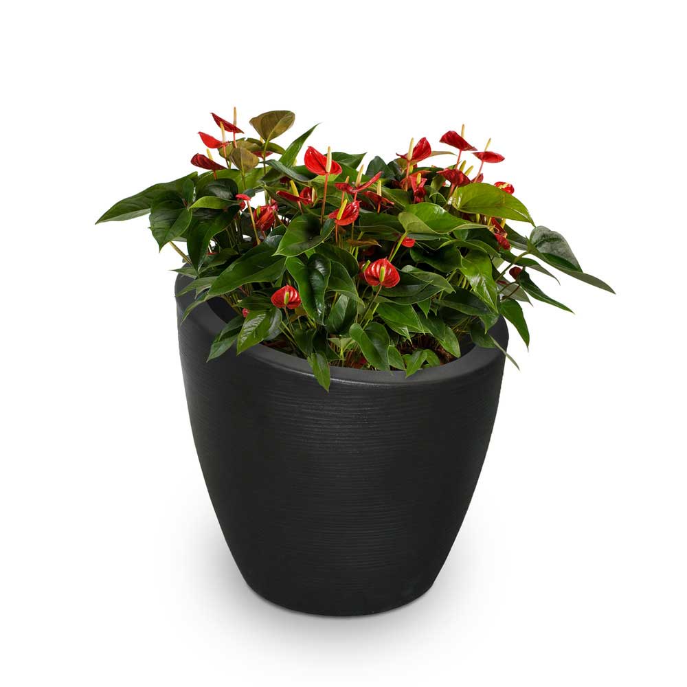 Modesto 30" Round Planter