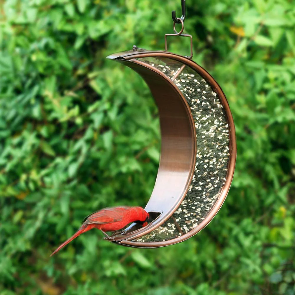 Over The Moon Bird Feeder - Image 10