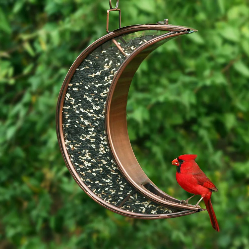 Over The Moon Bird Feeder - Image 9