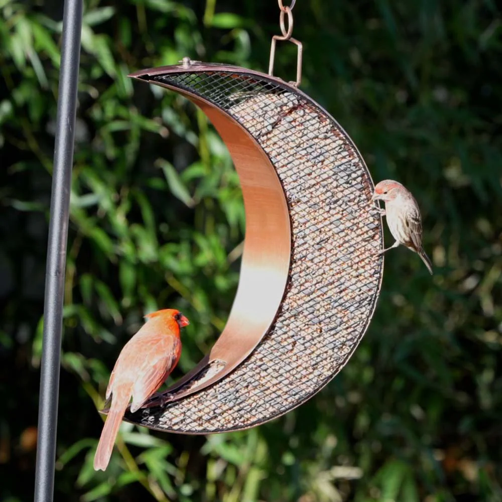 Over The Moon Bird Feeder, Mesh Panels - Image 6