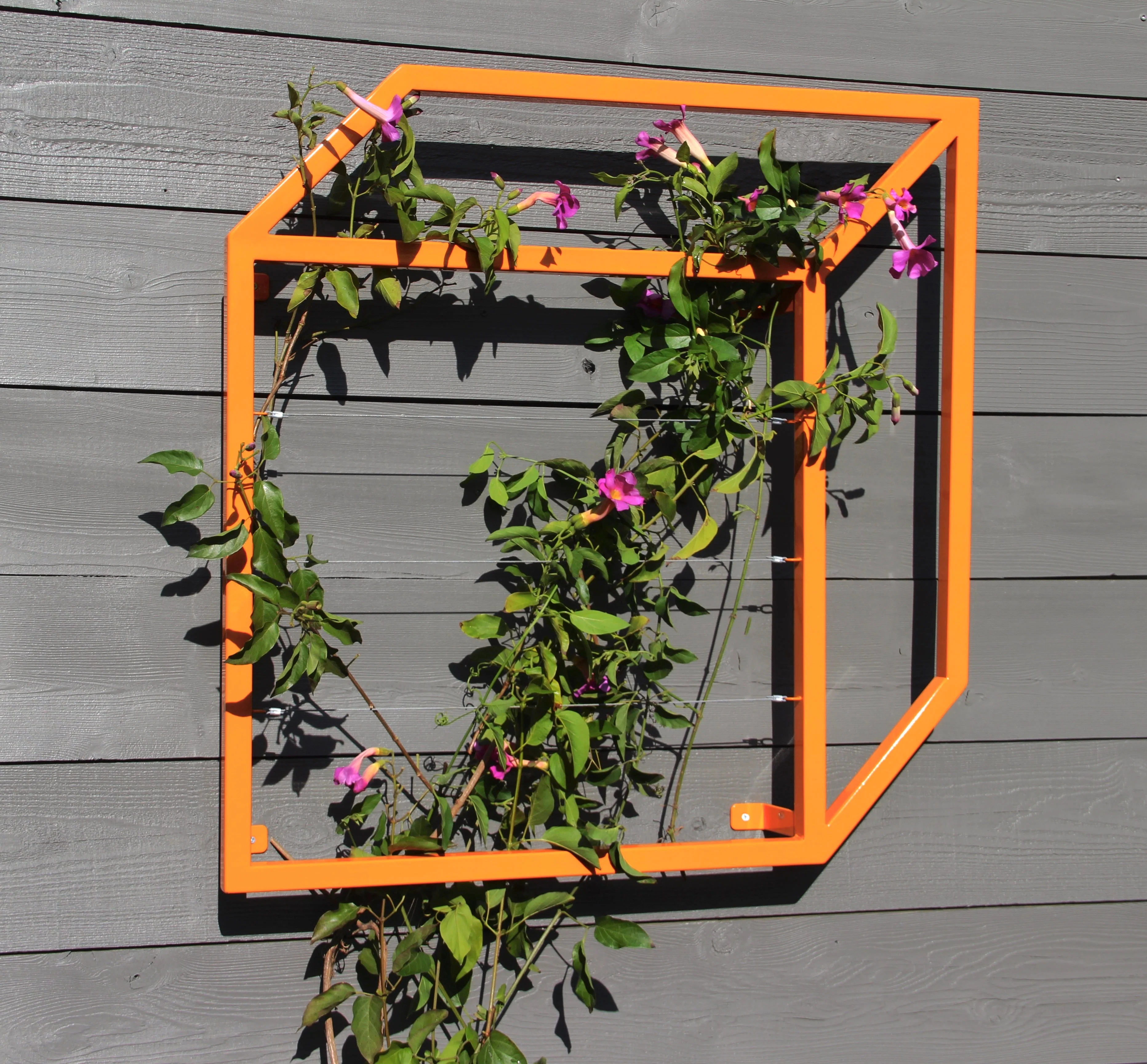 Pablo Wall Trellis - Image 3