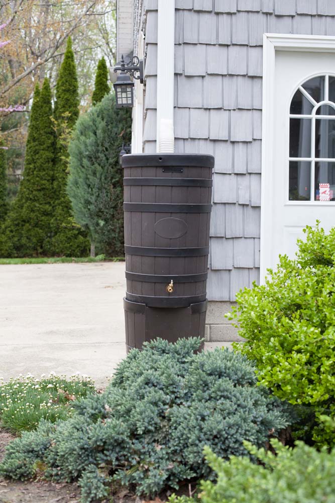 Rain Wizard American Oak with Darkened Ribs and Stand - Image 8