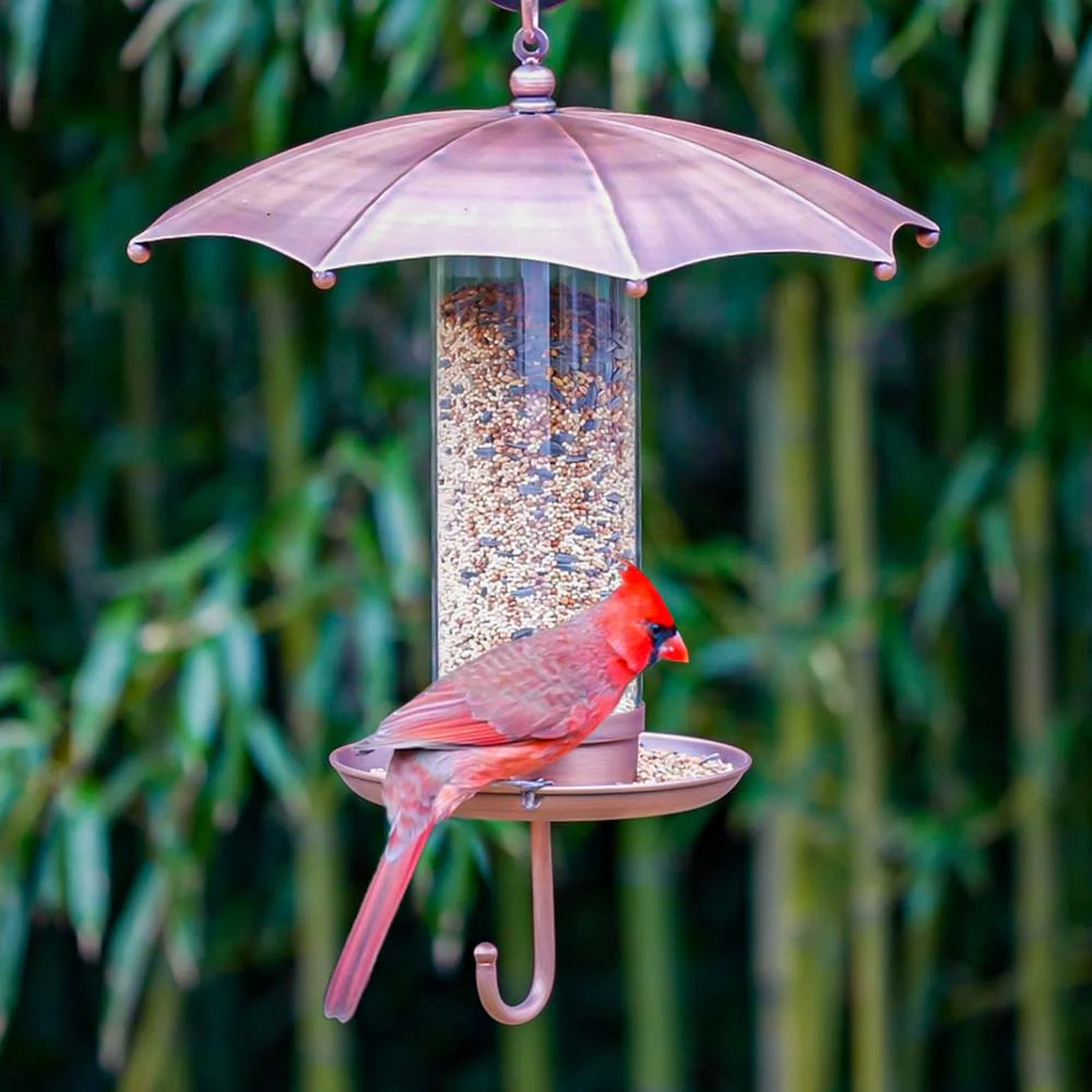 Rainy Day Umbrella-Inspired Bird Feeder - Image 4