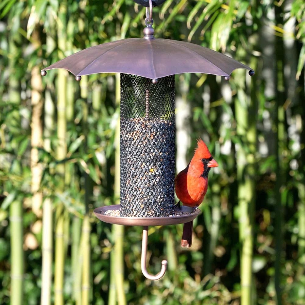 Rainy Day Umbrella-Inspired Bird Feeder, Durable Mesh - Image 4
