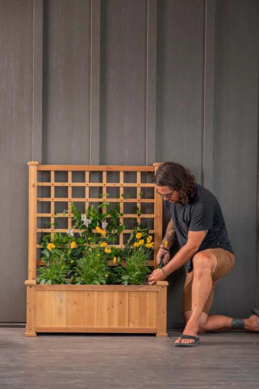 Rosewood Planter with Trellis - Image 3