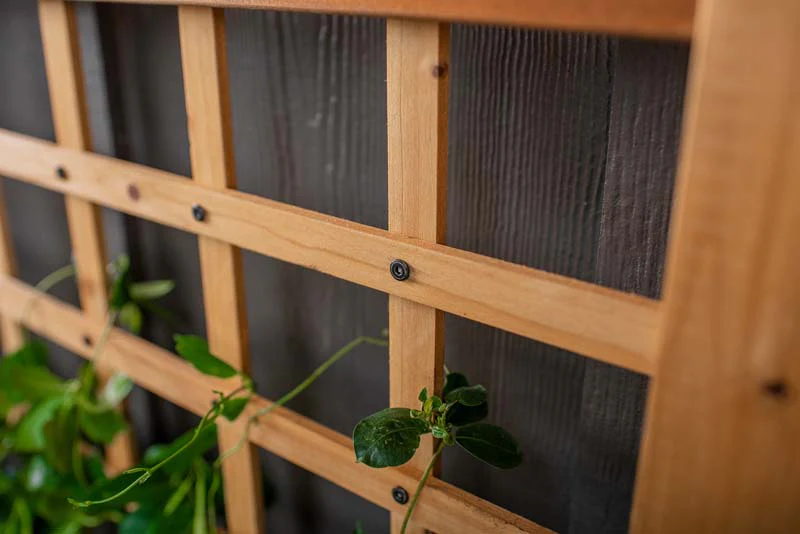 Rosewood Planter with Trellis - Image 5