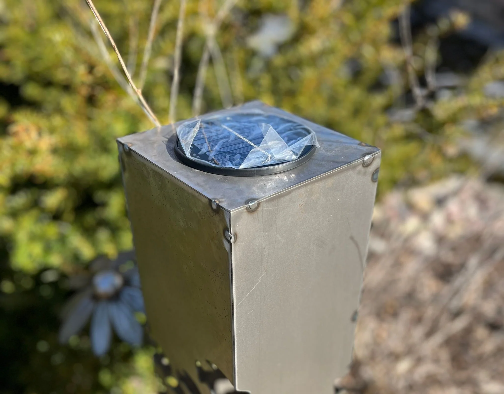 School of Fish Luminary Pillar | 30-inch - Image 7