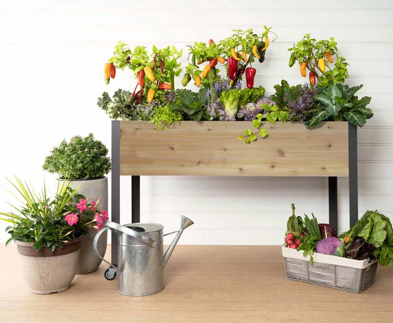 Self-Watering Elevated Cedar Planter (21" x 47" x 32") - Image 5