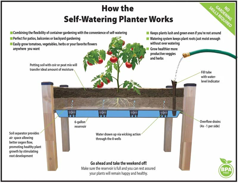 Self-Watering Elevated Cedar Planter (23" x 49" x 30") - Image 4