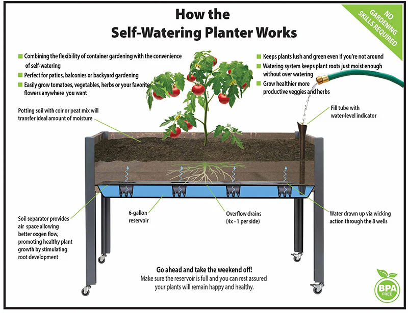 Self-Watering Elevated Spruce Planter (21" x 47" x 32") - Image 3