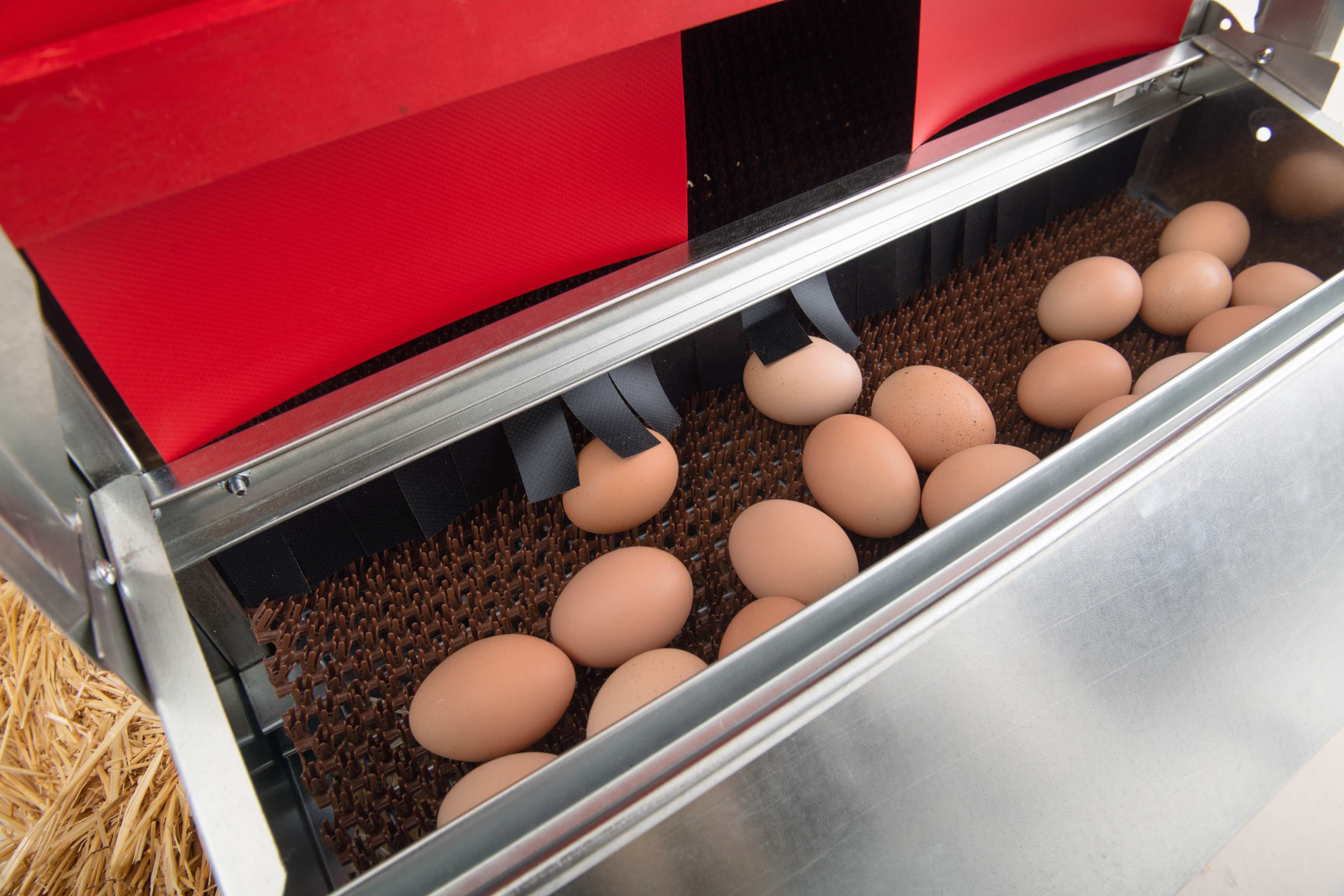 Small (24") Reversible Rollout Nest Box - Image 16