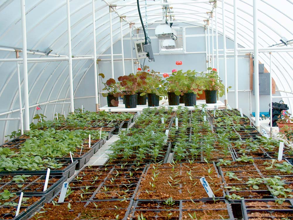 Solexx Conservatory Greenhouse - Image 3