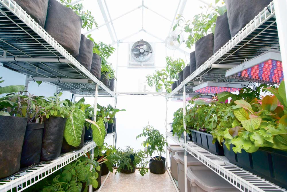 Solexx Garden Master Greenhouse - Image 4