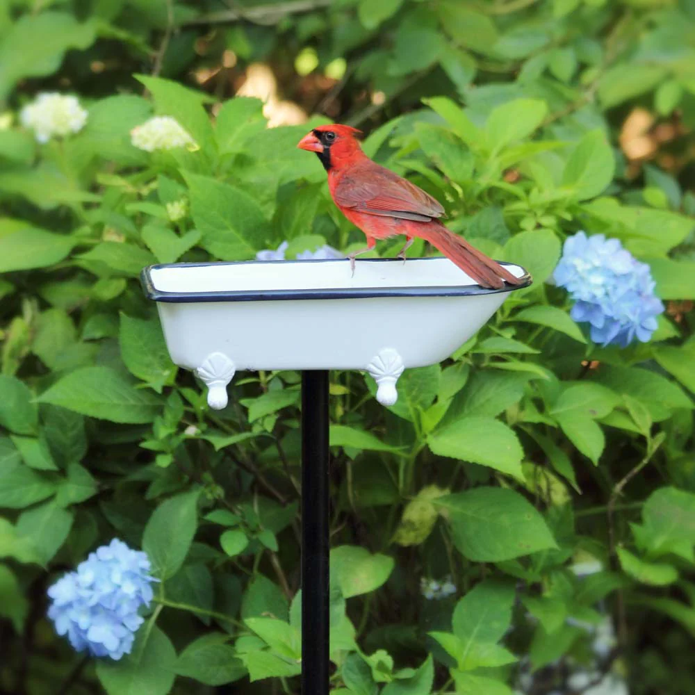 Splish-Splash Bird Bath - Image 11