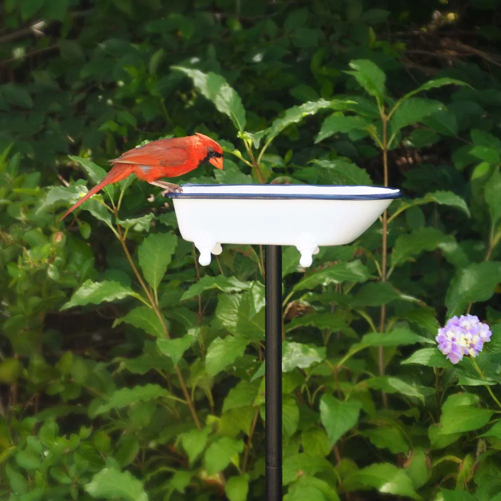 Splish-Splash Bird Bath - Image 12