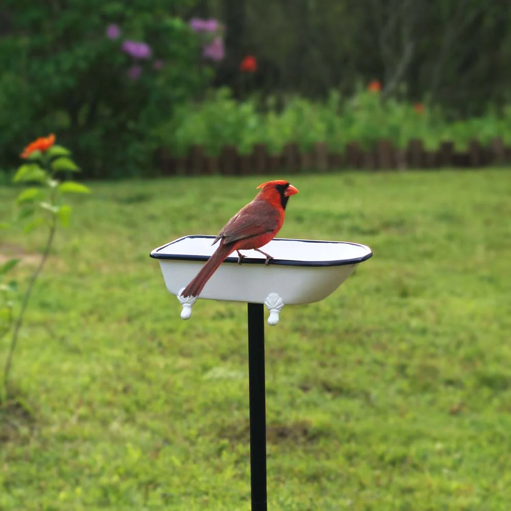 Splish-Splash Bird Bath - Image 13