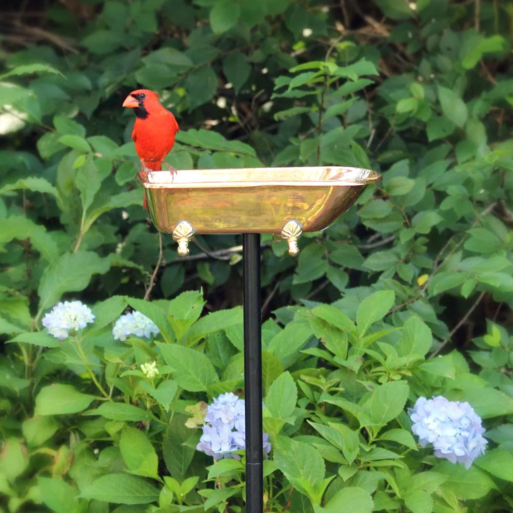 Splish-Splash Bird Bath - Image 4
