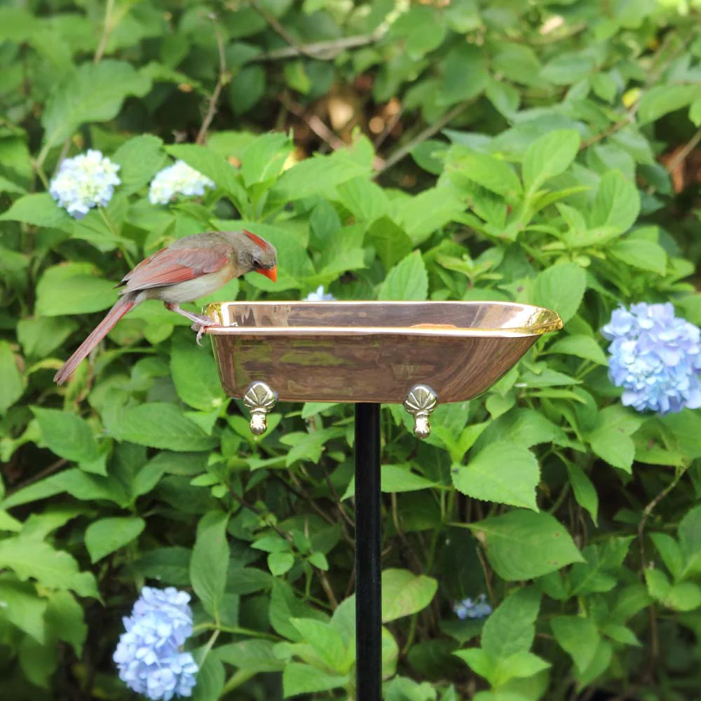 Splish-Splash Bird Bath - Image 5