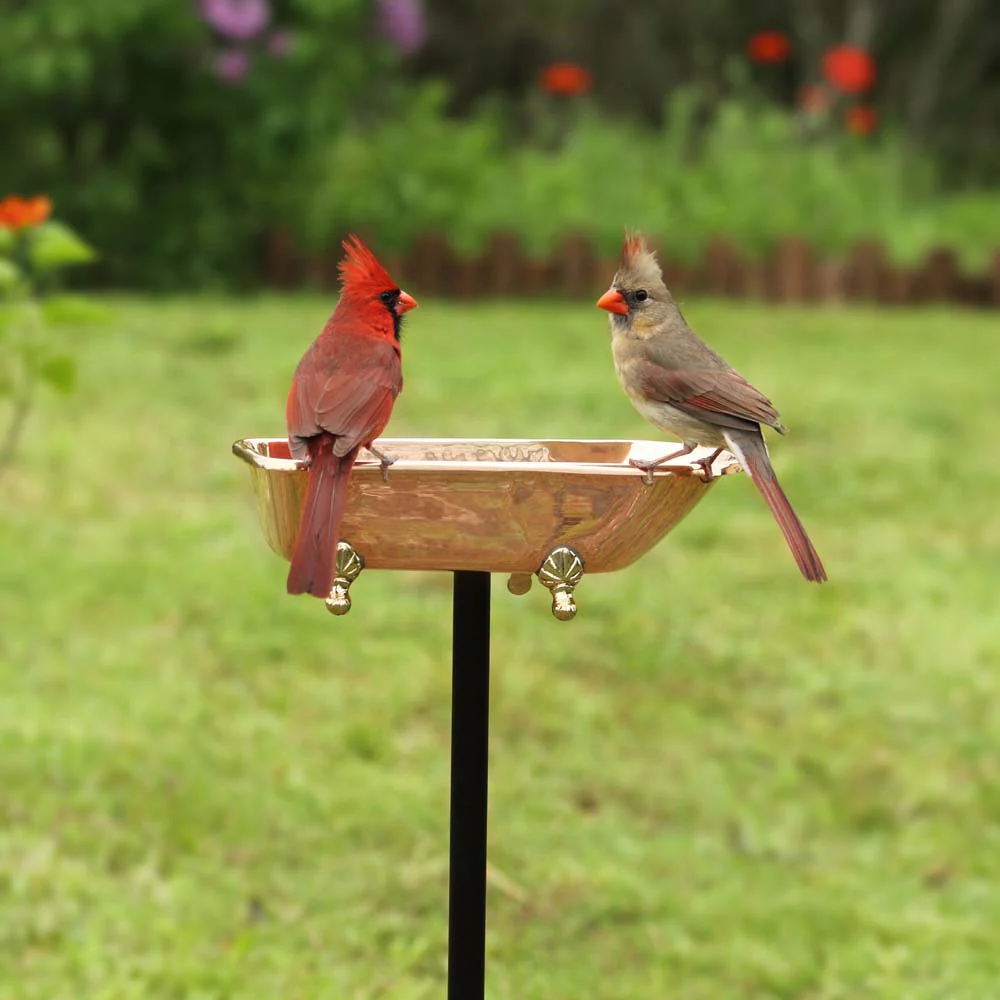 Splish-Splash Bird Bath - Image 6