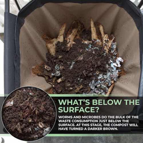 Urban Worm Bag Version 2 - Image 11