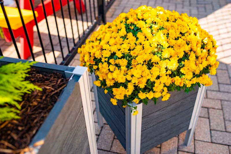 Urbana 17x17 Raised Planter - Image 2