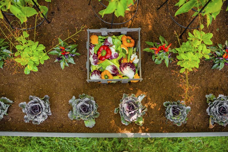 Urbana 4x4 Keyhole Composting Garden - Image 13
