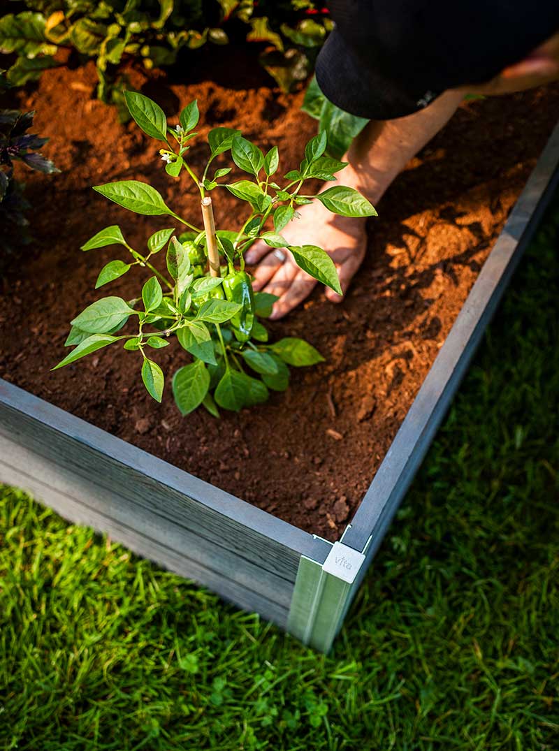 Urbana 4x4x11 Garden Bed - Image 9