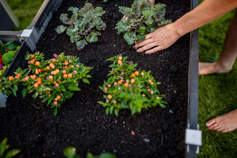 Urbana 6x6 Keyhole Composting Garden - Image 13