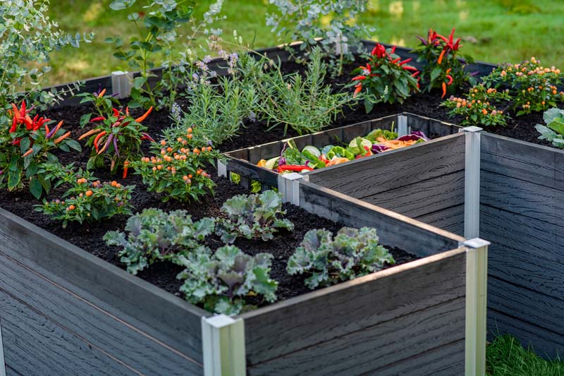 Urbana 6x6 Keyhole Composting Garden - Image 14
