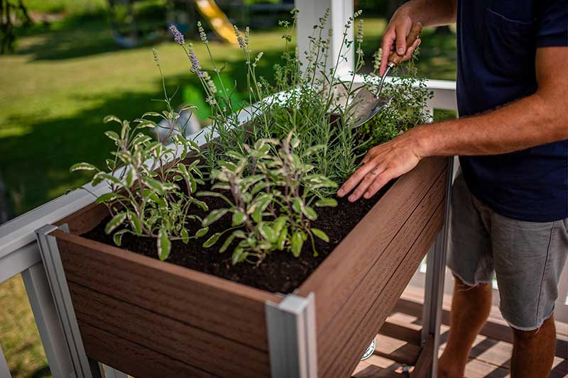 Urbana 18x30 Sprout Farm - Image 2