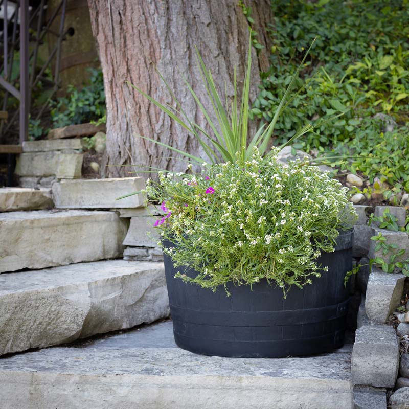 Whiskey Barrel Planter - Black - Image 11