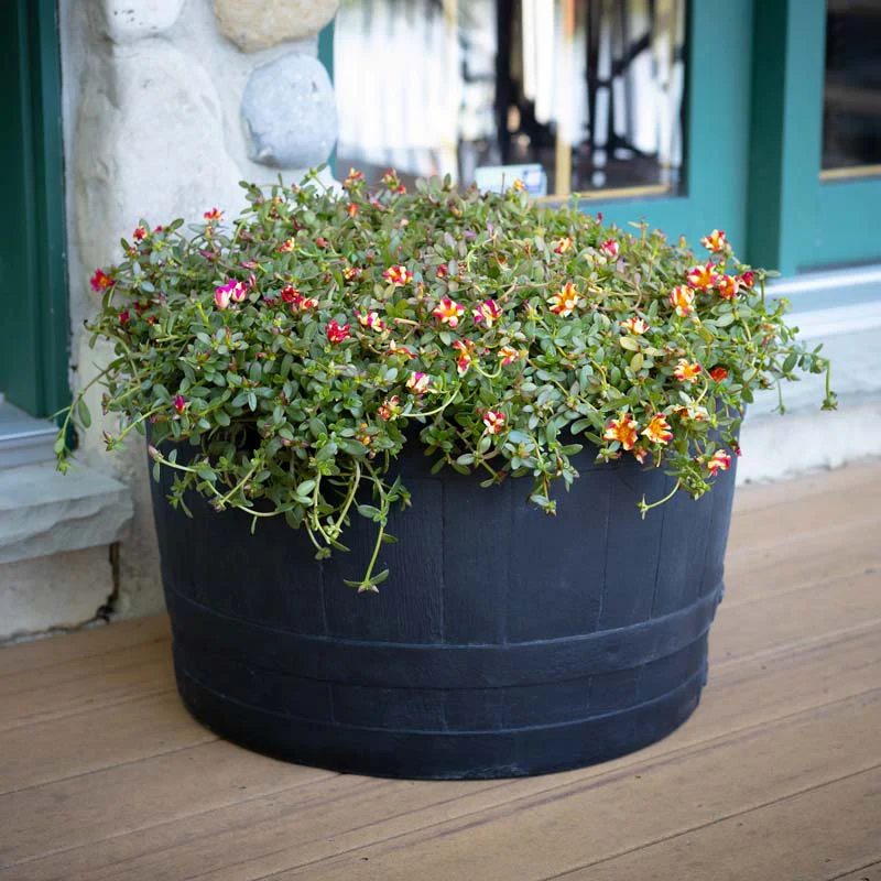 Whiskey Barrel Planter - Black - Image 12