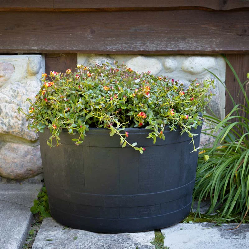 Whiskey Barrel Planter - Black - Image 9