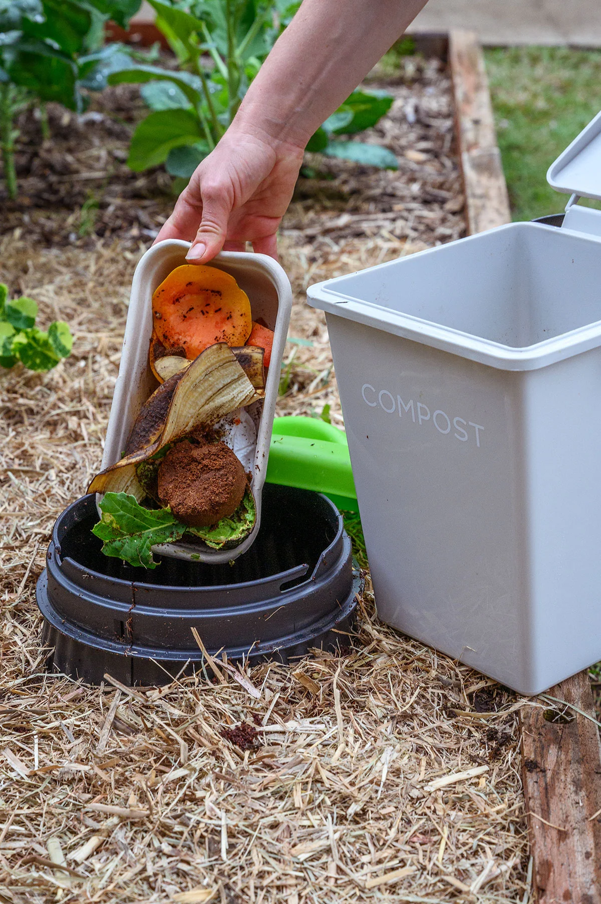 Worm Buffet Composter - Image 3