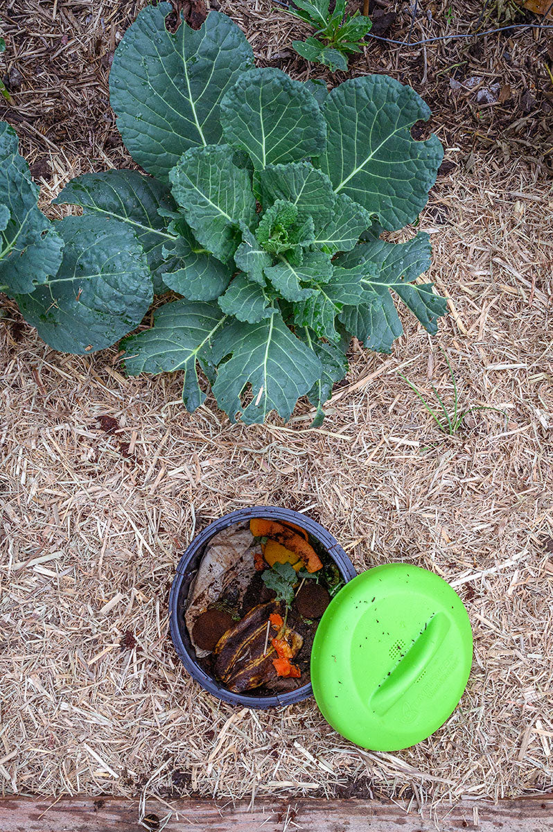 Worm Buffet Composter - Image 4