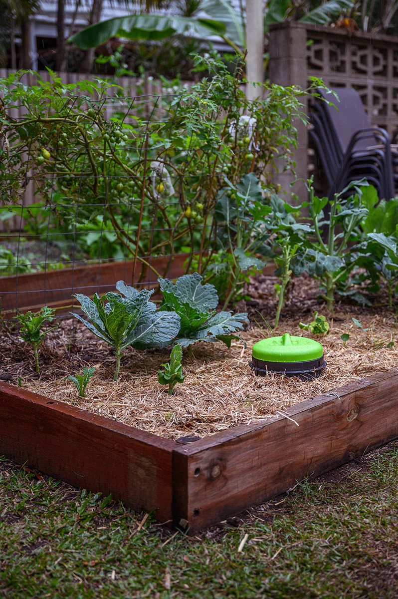 Worm Buffet Composter - Image 7
