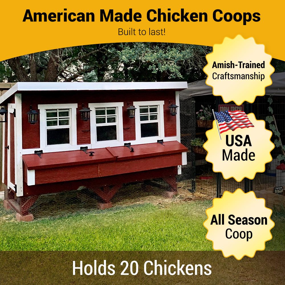 XL Chicken Coop - Up to 20 Chickens - Image 10