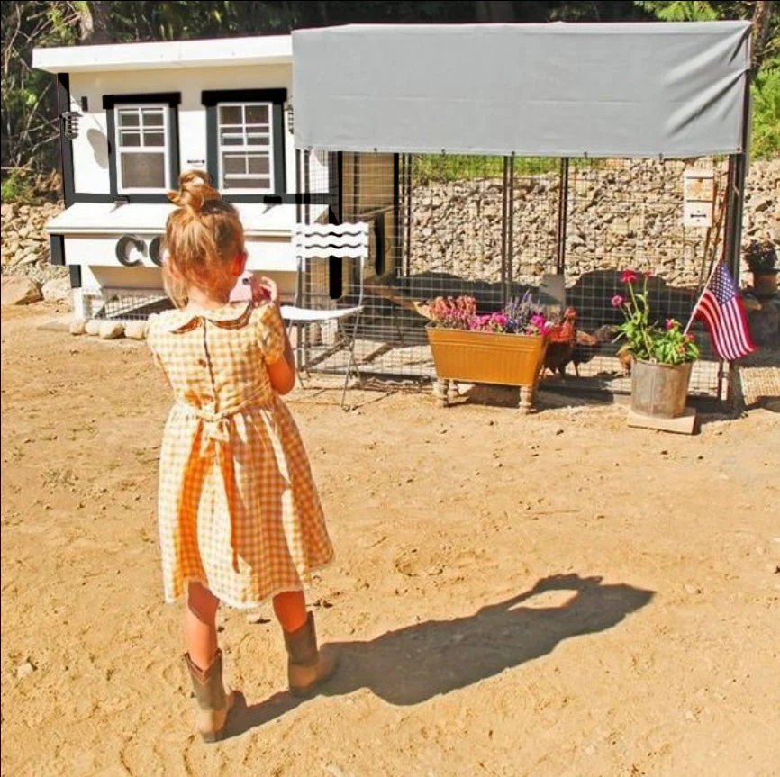 XL Chicken Coop - Up to 20 Chickens - Image 14