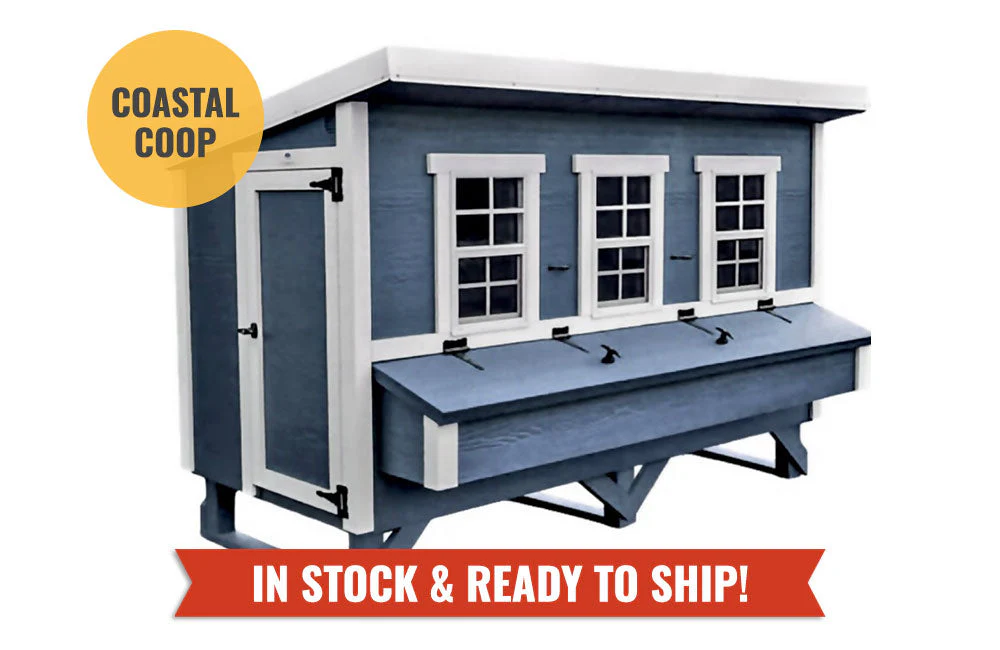 XL Chicken Coop - Up to 20 Chickens - Image 17