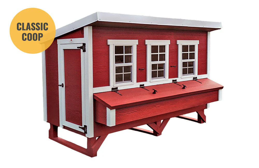 XL Chicken Coop - Up to 20 Chickens - Image 20