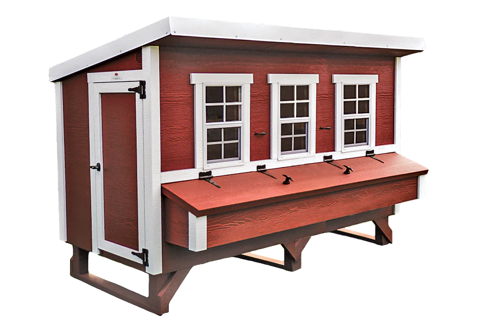 XL Chicken Coop - Up to 20 Chickens - Image 32
