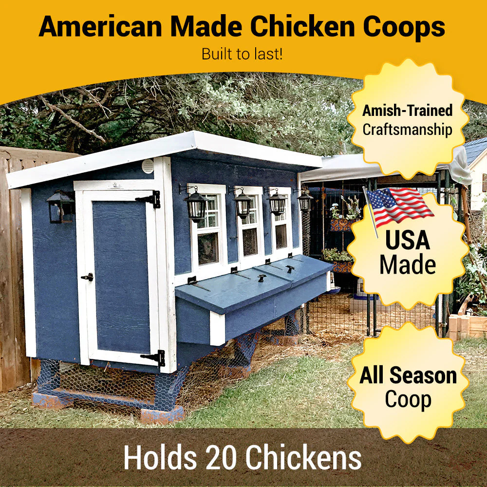 XL Chicken Coop - Up to 20 Chickens - Image 41