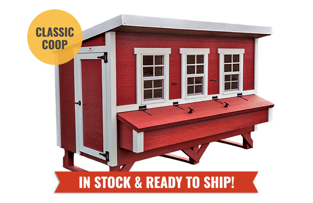 XL Chicken Coop - Up to 20 Chickens - Image 42