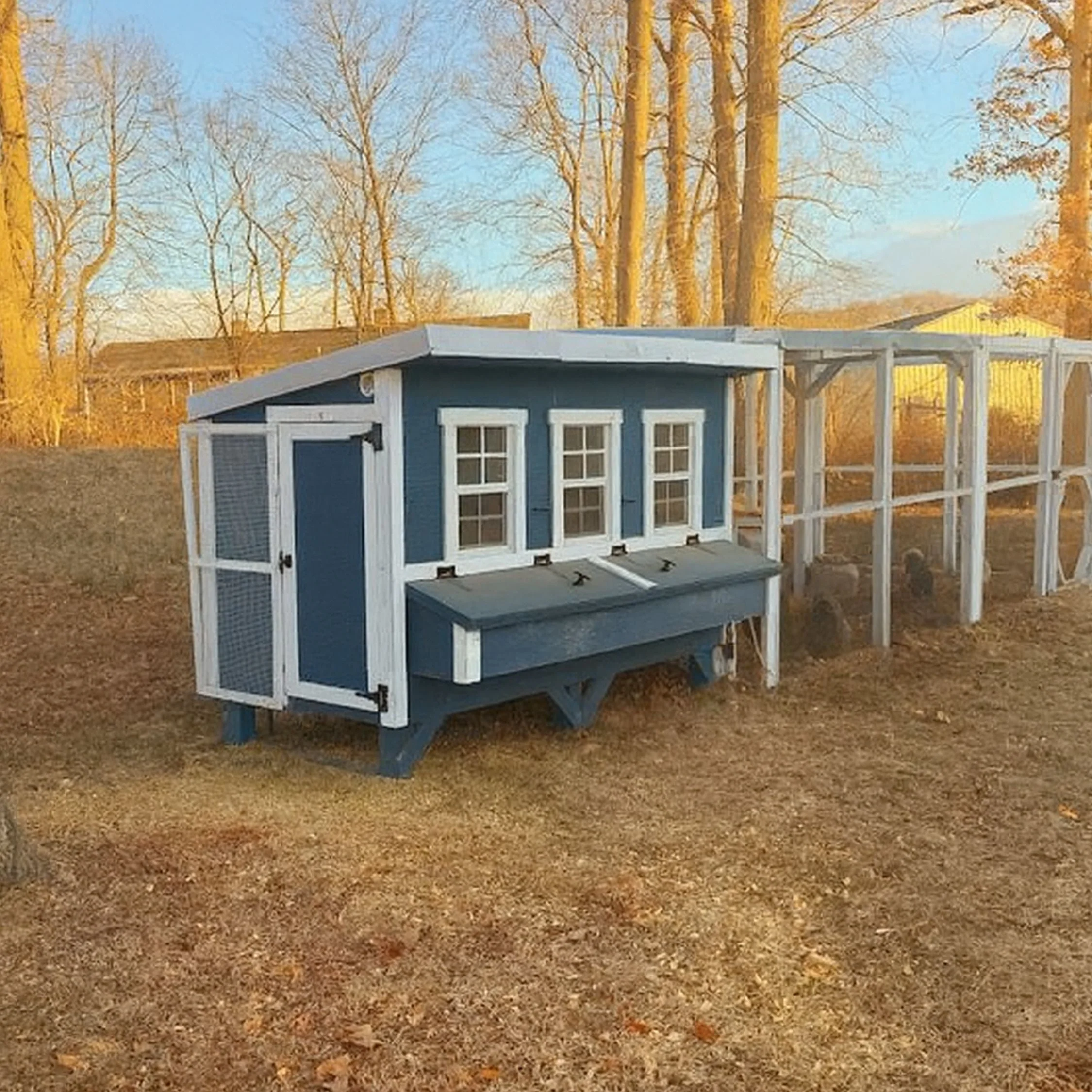 XL Chicken Coop - Up to 20 Chickens - Image 47