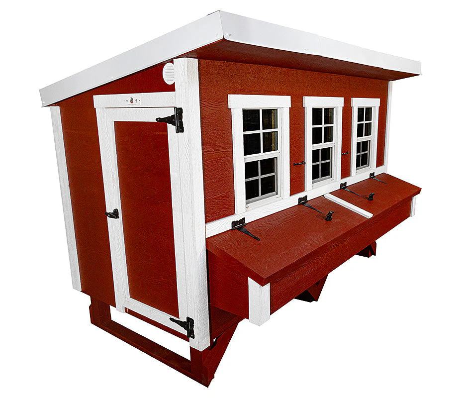 XL Chicken Coop - Up to 20 Chickens - Image 5