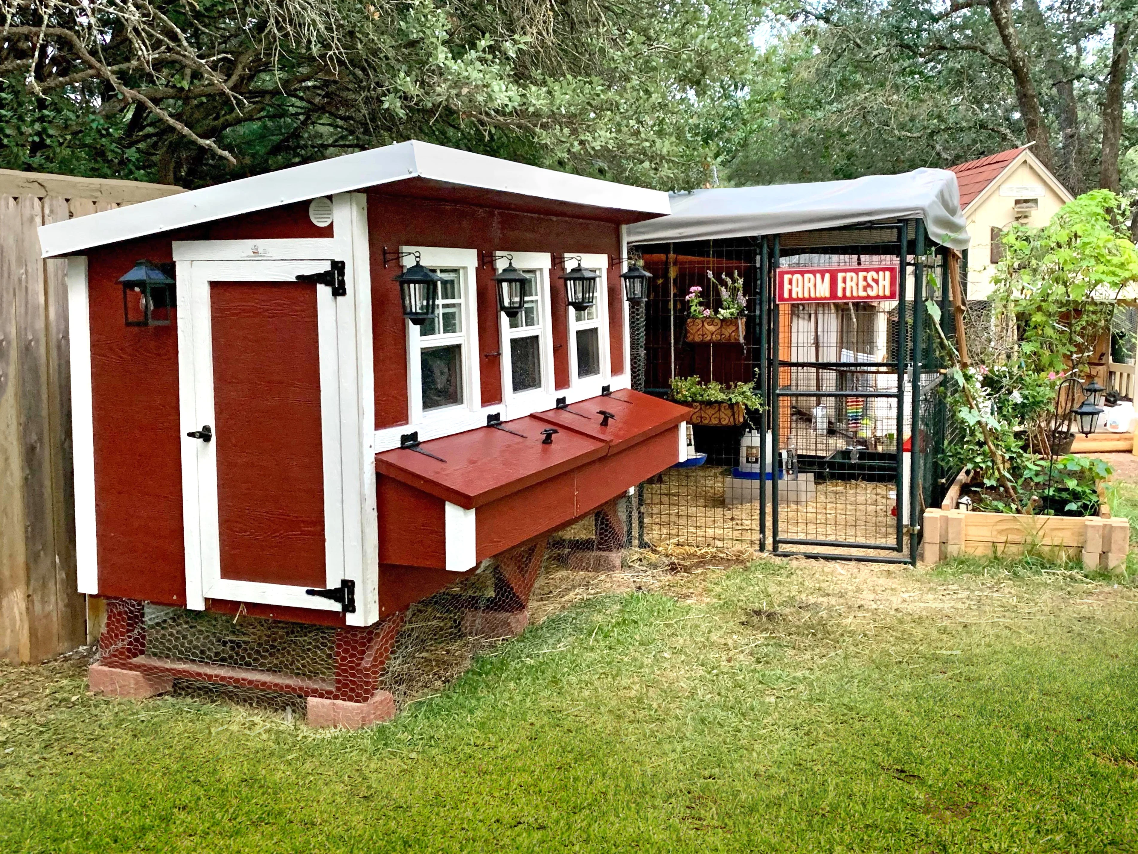 XL Chicken Coop - Up to 20 Chickens - Image 9